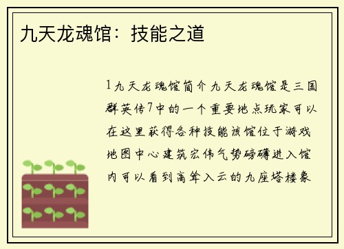 九天龙魂馆：技能之道