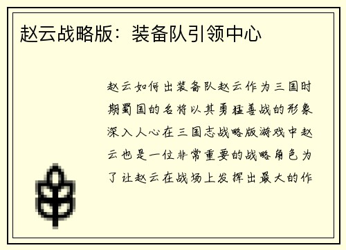 赵云战略版：装备队引领中心