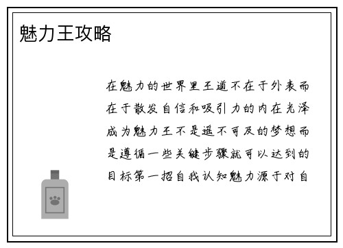 魅力王攻略